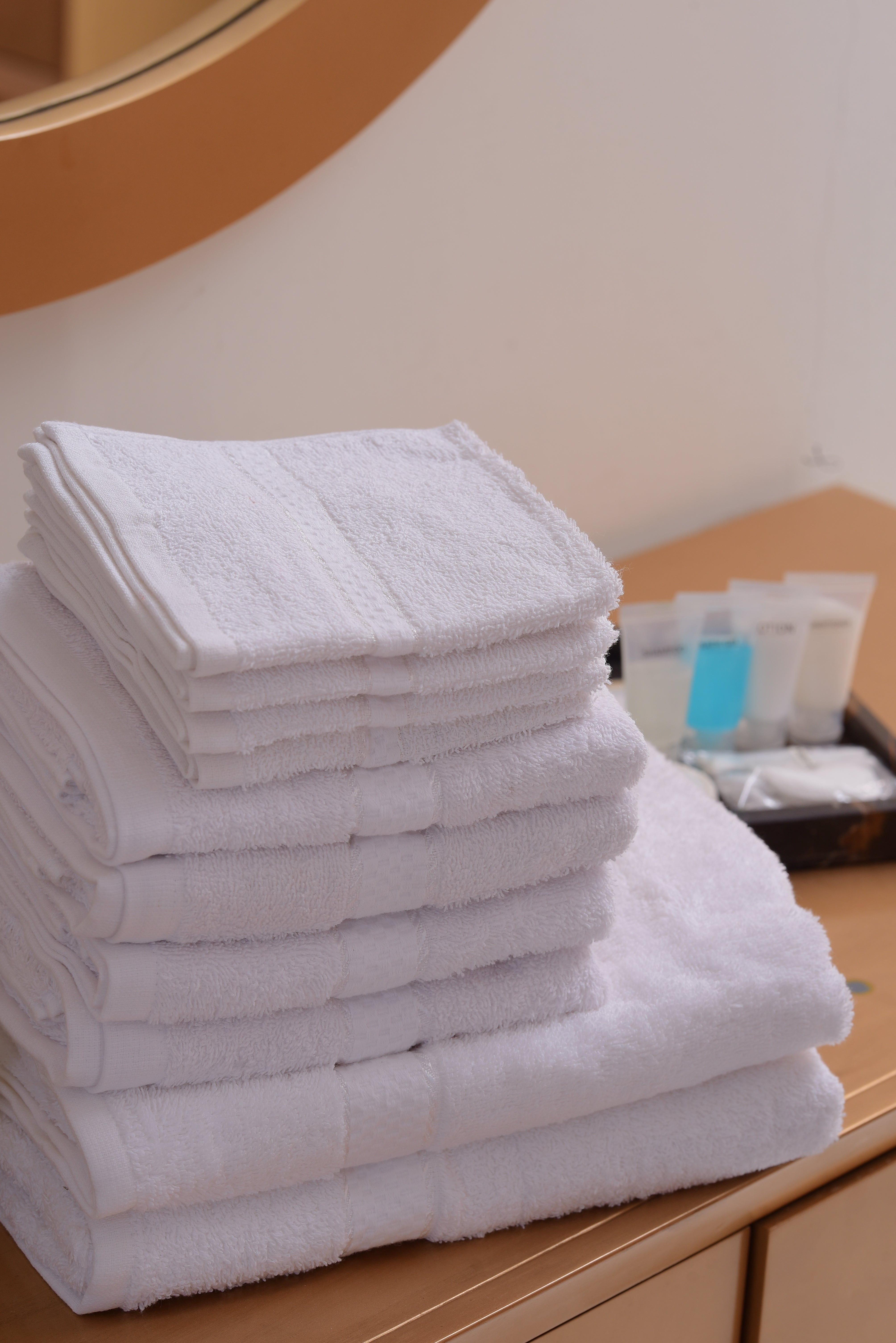 Luxury 10 Piece Bath Towels Set